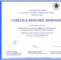 Acercar imagen: certificate 13