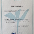 Acercar imagen: certificate 8