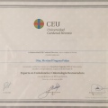 Acercar imagen: certificate 6