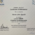 Acercar imagen: certificate 2