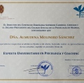 Acercar imagen: certificate 10