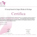 Acercar imagen: certificate 88