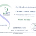 Acercar imagen: certificate 2