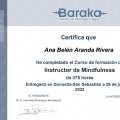 Acercar imagen: certificate 18