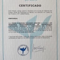 Acercar imagen: certificate 4