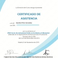 Acercar imagen: certificate 7