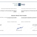 Acercar imagen: certificate 4