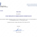 Acercar imagen: certificate 3