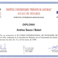 Acercar imagen: certificate 15