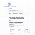 Acercar imagen: certificate 1