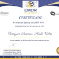 Acercar imagen: certificate 3
