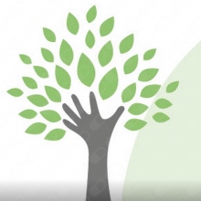 Consulta de Especialidades Dra Amparo Millan