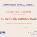 Acercar imagen: certificate 5