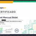 Acercar imagen: certificate 4