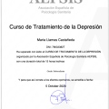 Acercar imagen: certificate 3