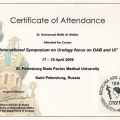 Acercar imagen: certificate 16