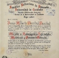 Acercar imagen: certificate 31