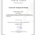 Acercar imagen: certificate 6