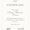 Acercar imagen: certificate 2