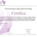 Acercar imagen: certificate 46
