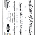 Acercar imagen: certificate 12