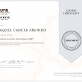 Acercar imagen: certificate 8