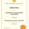 Acercar imagen: certificate 3