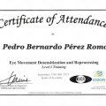 Acercar imagen: certificate 27