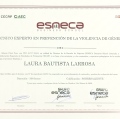 Acercar imagen: certificate 7