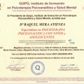 Acercar imagen: certificate 11