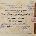 Acercar imagen: certificate 29
