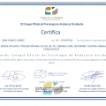 Acercar imagen: certificate 25