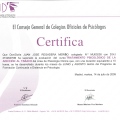 Acercar imagen: certificate 249