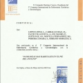 Acercar imagen: certificate 56