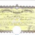 Acercar imagen: certificate 1