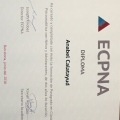 Acercar imagen: certificate 5