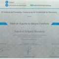 Acercar imagen: certificate 4