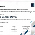 Acercar imagen: certificate 4