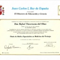 Acercar imagen: certificate 2