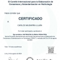 Acercar imagen: certificate 9
