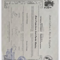 Acercar imagen: certificate 2