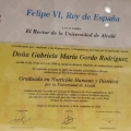 Acercar imagen: certificate 8