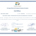 Acercar imagen: certificate 17