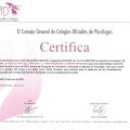Acercar imagen: certificate 89