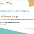 Acercar imagen: certificate 3
