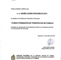 Acercar imagen: certificate 4