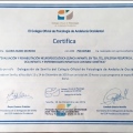 Acercar imagen: certificate 8