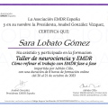 Acercar imagen: certificate 11