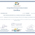 Acercar imagen: certificate 2
