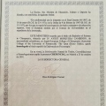 Acercar imagen: certificate 5